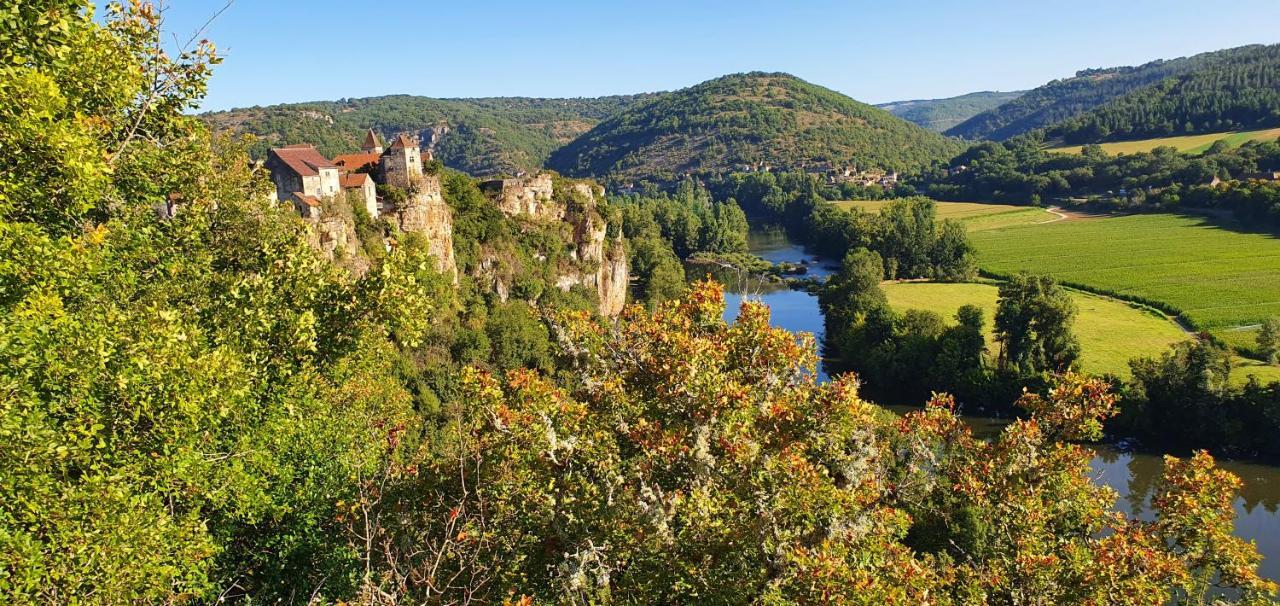 L'Oseraie Du Quercy Calvignac Luaran gambar
